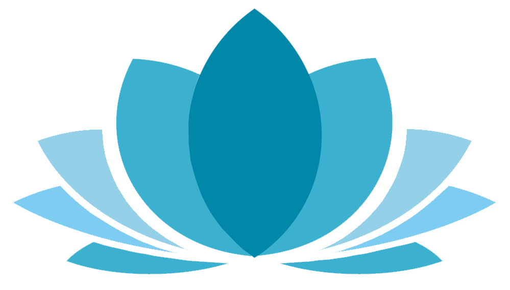transparent logo_without_text